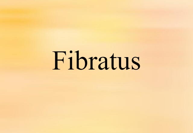 Fibratus (noun) Definition, Meaning & Examples