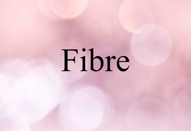 Fibre (noun) Definition, Meaning & Examples