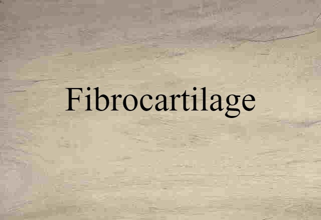 fibrocartilage