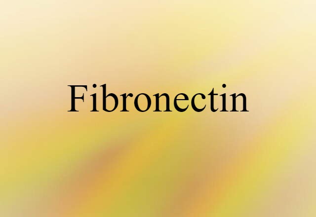 Fibronectin (noun) Definition, Meaning & Examples