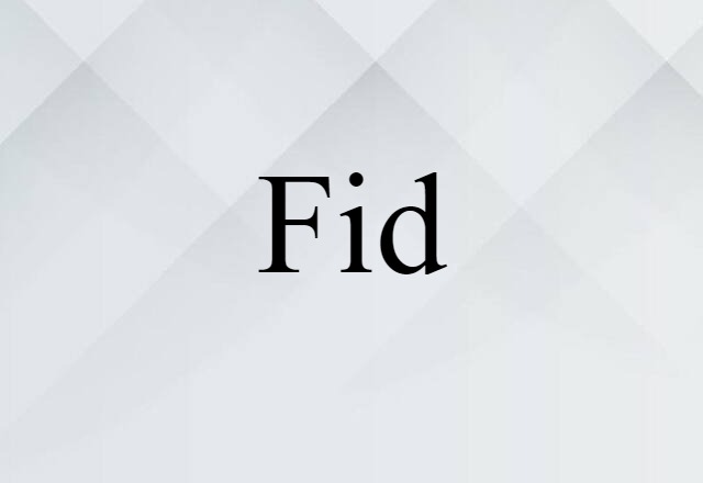 Fid (noun) Definition, Meaning & Examples