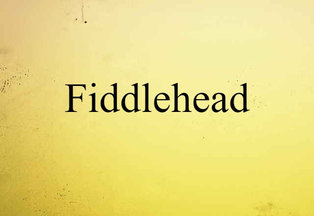 fiddlehead