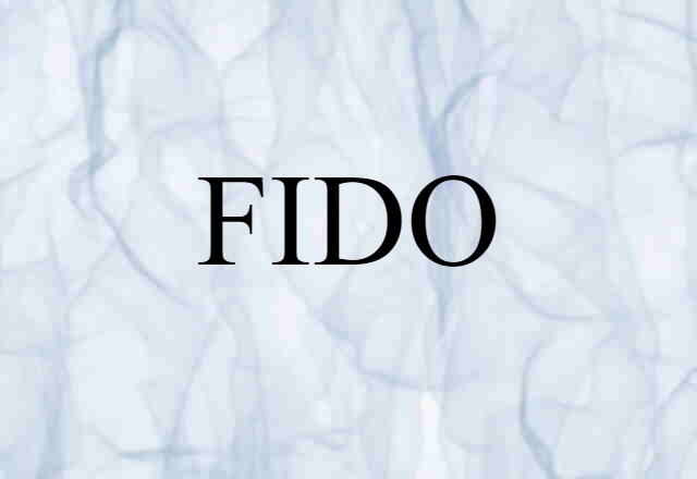 FIDO (noun) Definition, Meaning & Examples