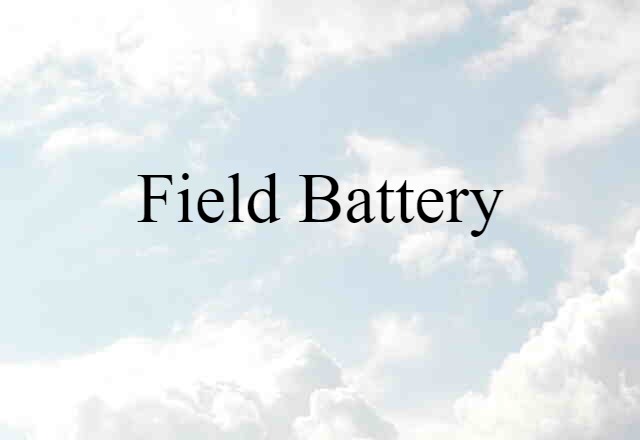 Field Battery (noun) Definition, Meaning & Examples