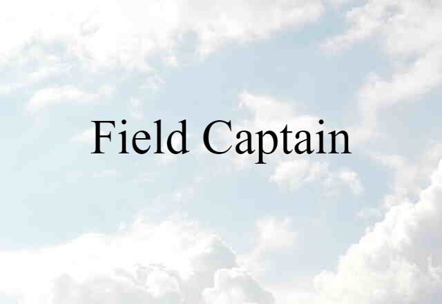 Field Captain (noun) Definition, Meaning & Examples