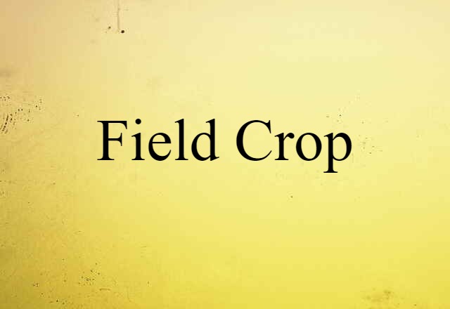 field crop