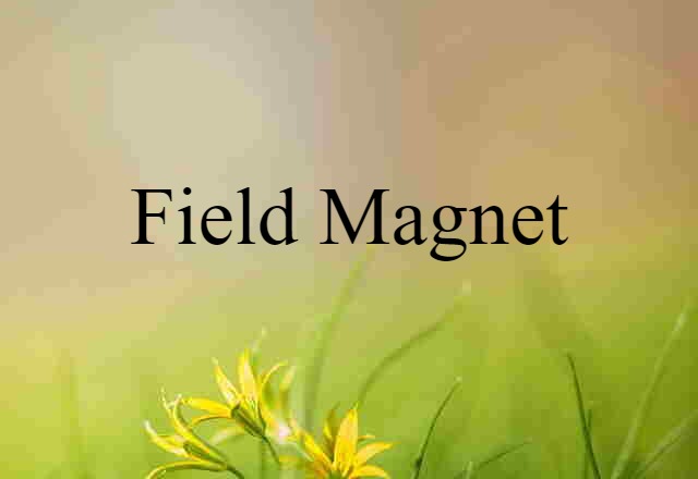 field magnet