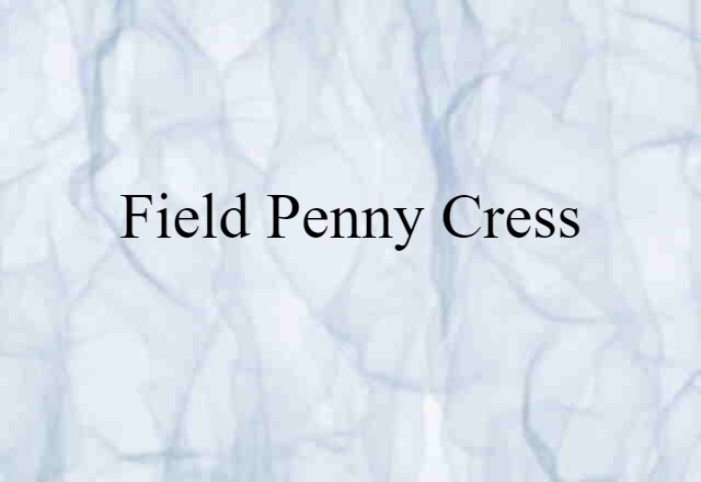 Field Penny-cress (noun) Definition, Meaning & Examples