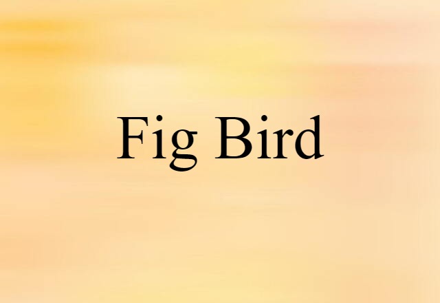 fig-bird