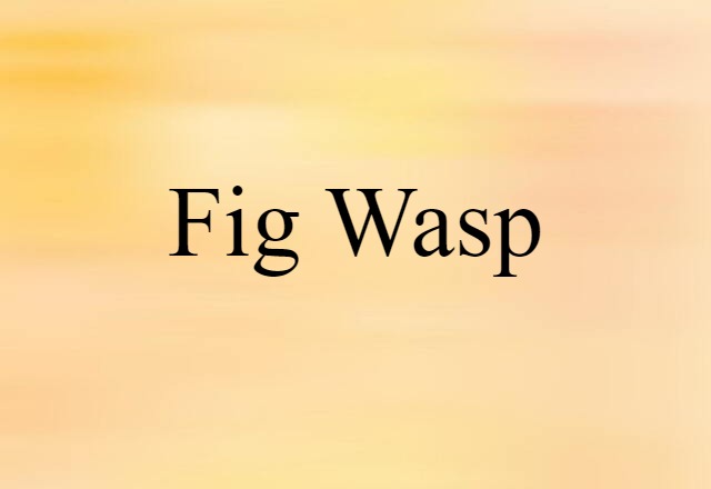 Fig Wasp (noun) Definition, Meaning & Examples