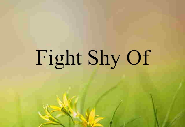 fight shy of