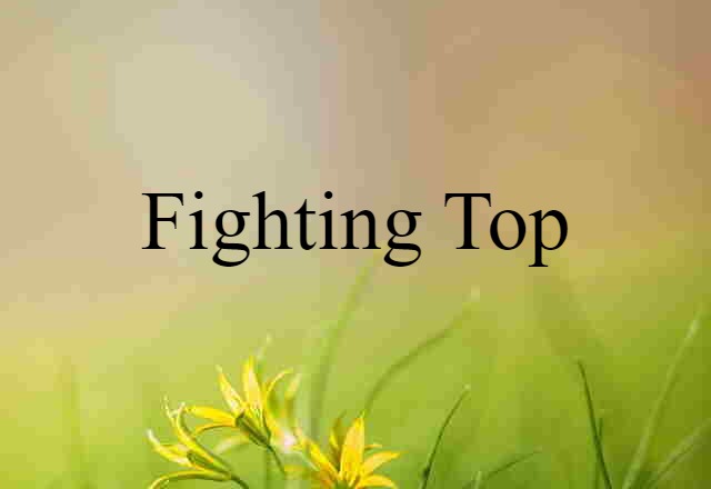 fighting top