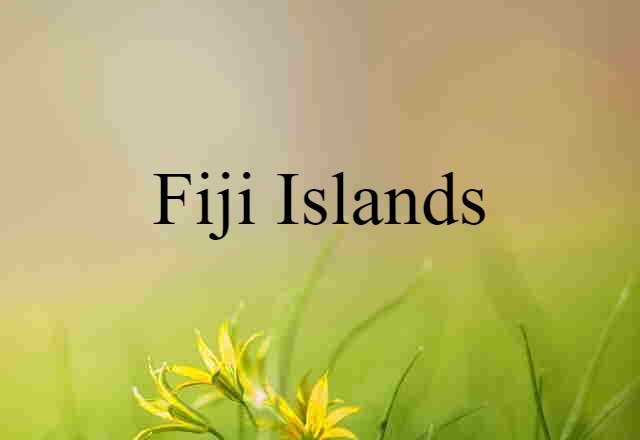 Fiji Islands (noun) Definition, Meaning & Examples