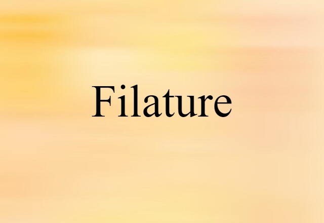 Filature (noun) Definition, Meaning & Examples