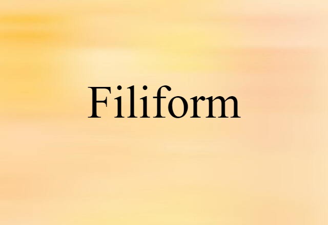 Filiform (noun) Definition, Meaning & Examples