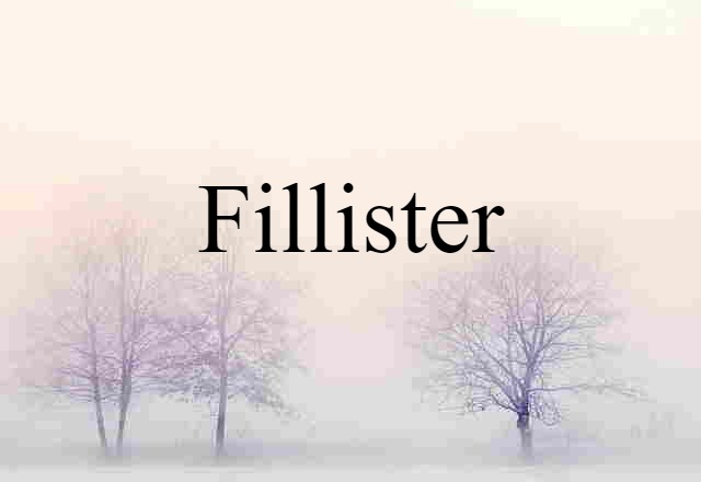 Fillister (noun) Definition, Meaning & Examples