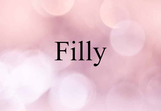 Filly (noun) Definition, Meaning & Examples