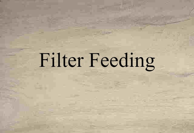 filter feeding