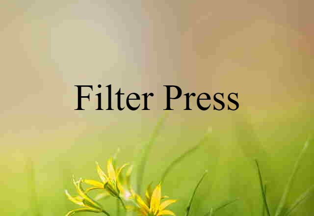 Filter Press (noun) Definition, Meaning & Examples