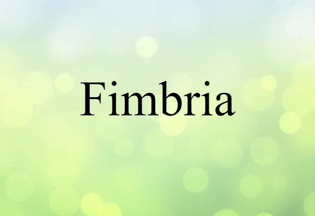 fimbria