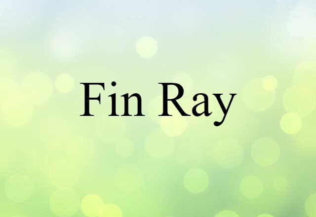 Fin Ray (noun) Definition, Meaning & Examples