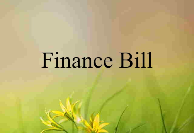 Finance Bill (noun) Definition, Meaning & Examples