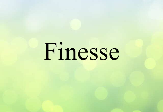 Finesse (noun) Definition, Meaning & Examples