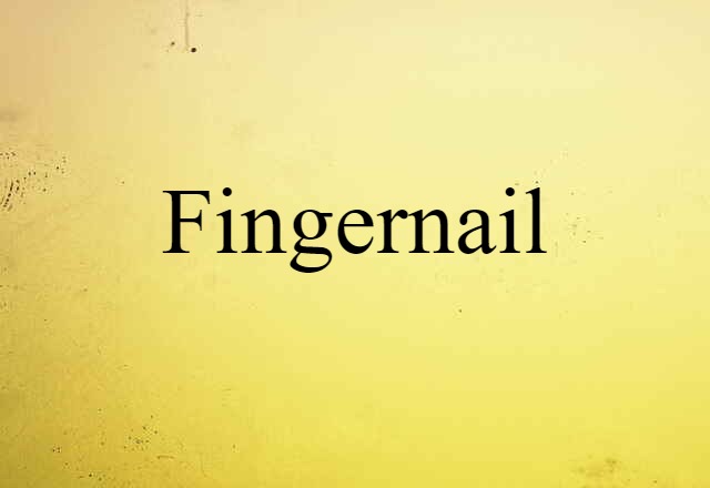 fingernail