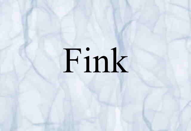 Fink (noun) Definition, Meaning & Examples