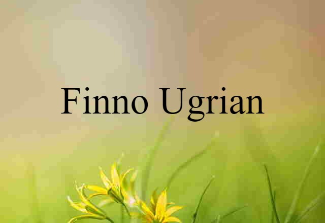 Finno-Ugrian (noun) Definition, Meaning & Examples