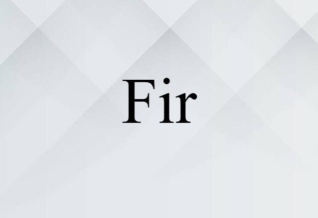 fir