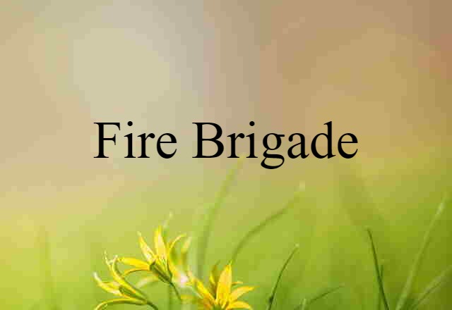 Fire Brigade (noun) Definition, Meaning & Examples