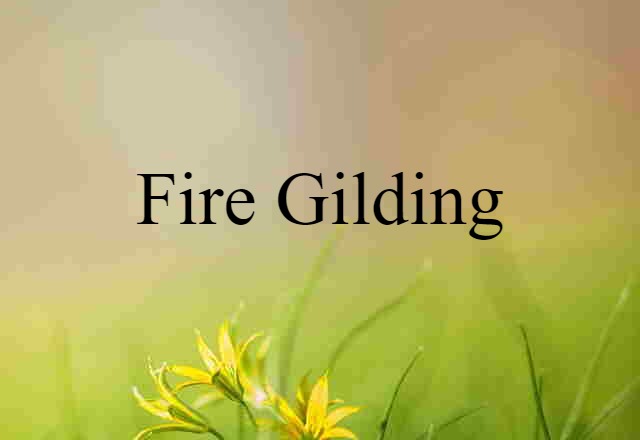 Fire Gilding (noun) Definition, Meaning & Examples