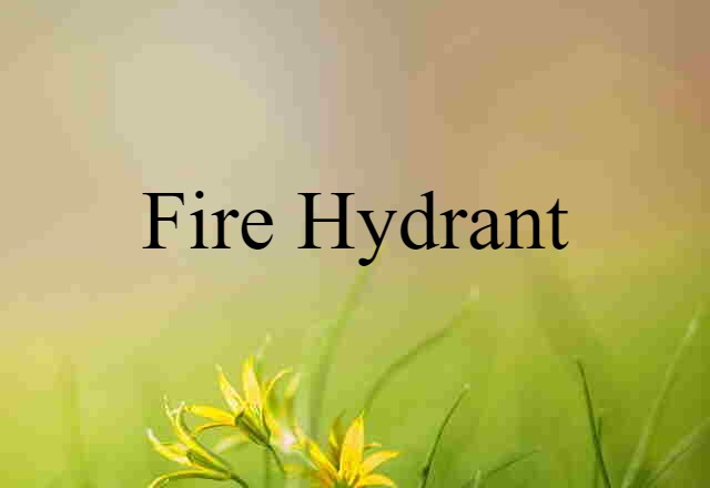 Fire Hydrant (noun) Definition, Meaning & Examples