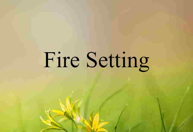 Fire Setting (noun) Definition, Meaning & Examples