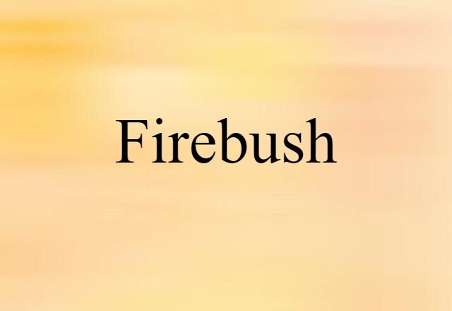 Firebush (noun) Definition, Meaning & Examples