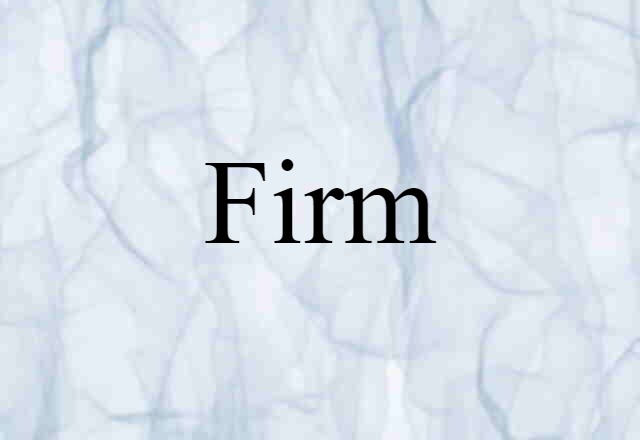 Firm (noun) Definition, Meaning & Examples