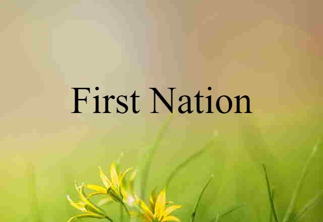 First Nation (noun) Definition, Meaning & Examples