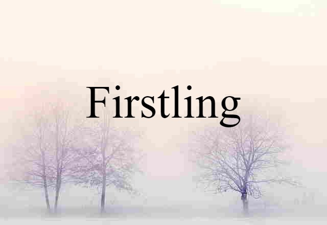 Firstling (noun) Definition, Meaning & Examples