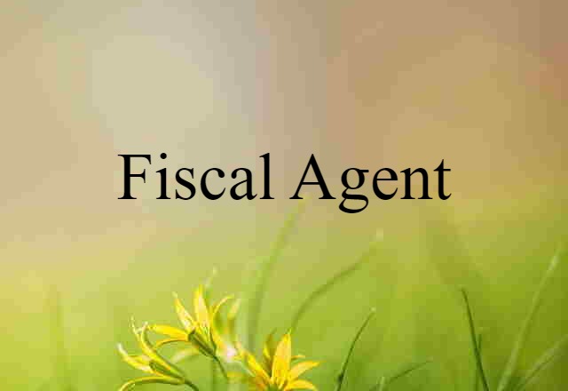 Fiscal Agent (noun) Definition, Meaning & Examples