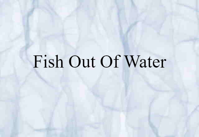 Fish Out Of Water (noun) Definition, Meaning & Examples