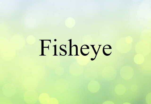 Fisheye (noun) Definition, Meaning & Examples