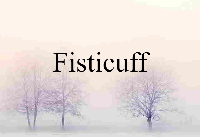 fisticuff