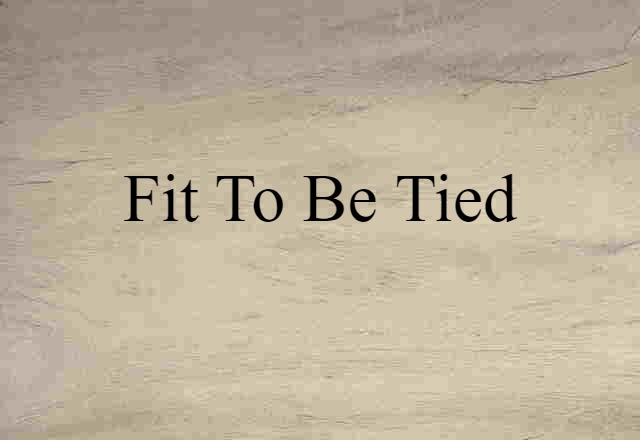 Fit To Be Tied (noun) Definition, Meaning & Examples