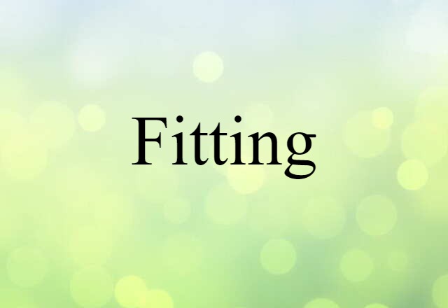 Fitting (noun) Definition, Meaning & Examples