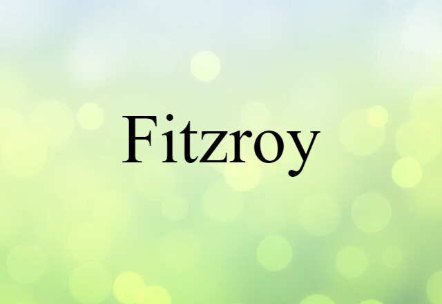 Fitzroy (noun) Definition, Meaning & Examples