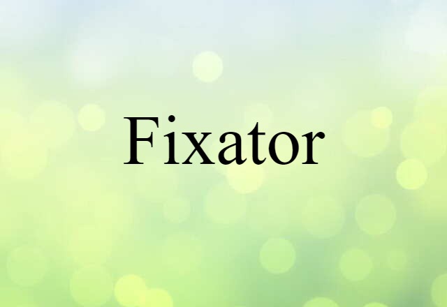 Fixator (noun) Definition, Meaning & Examples