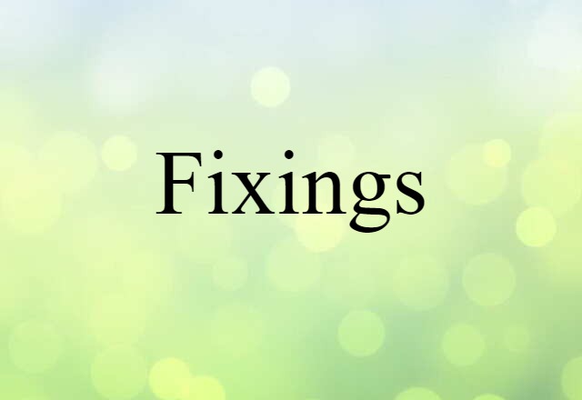 Fixings (noun) Definition, Meaning & Examples