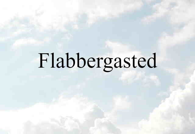 Flabbergasted (noun) Definition, Meaning & Examples