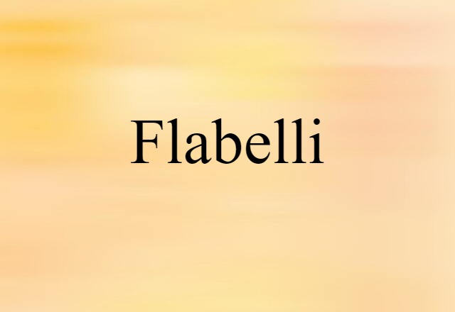 Flabelli (noun) Definition, Meaning & Examples